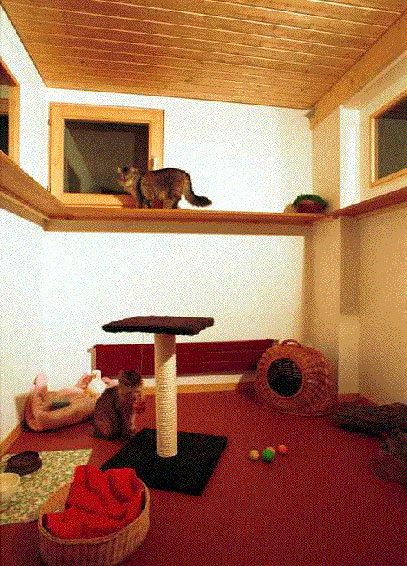 Hotelzimmer für Katzen-Feriengäste auf dem Grubhof